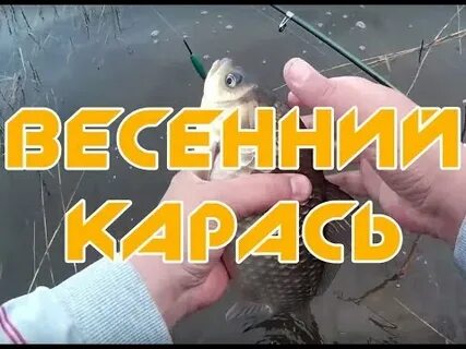 На что клюет рыба в октябре