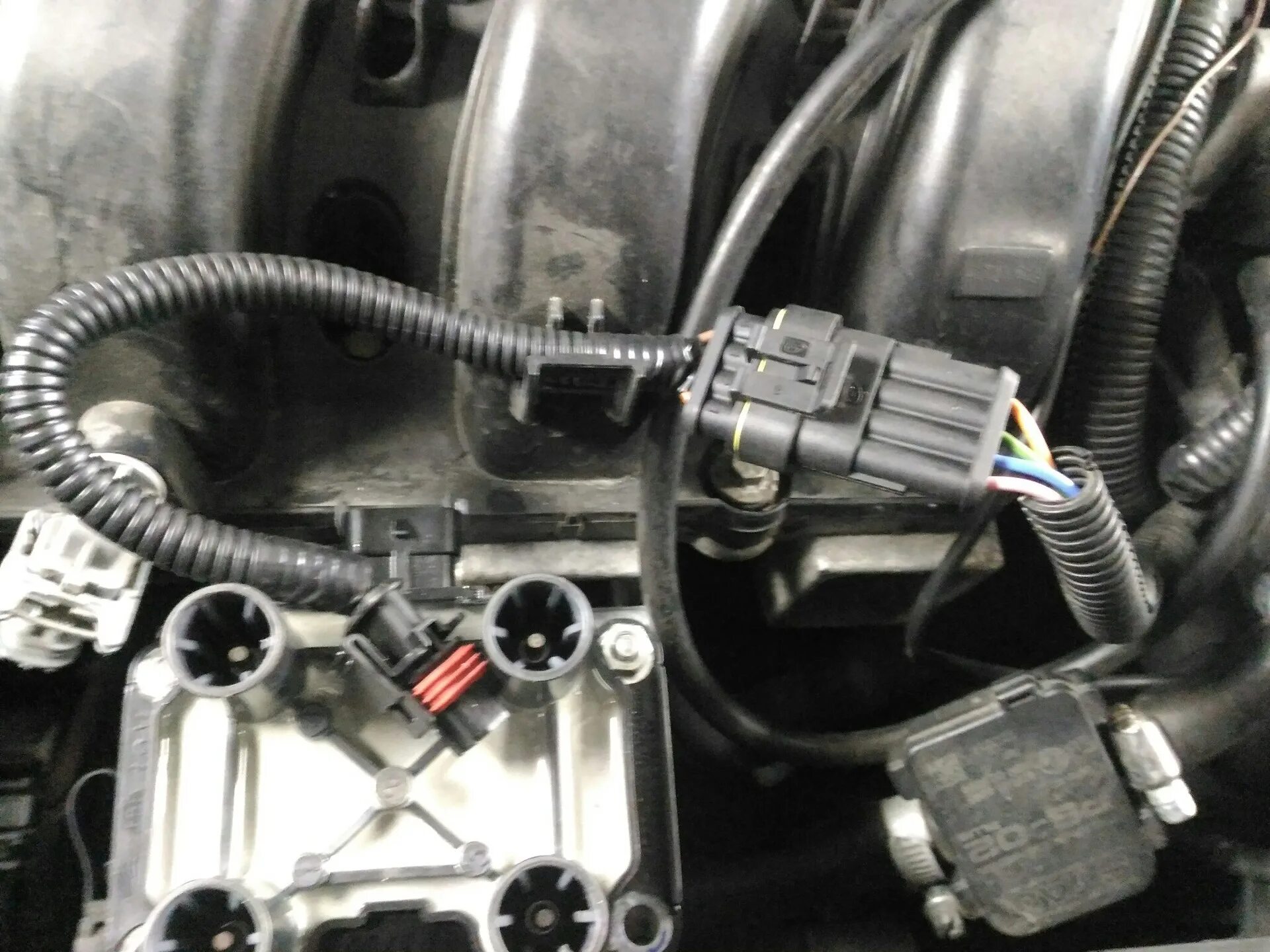 Катушка ваз рено меган 1. Рено меган модуль зажигания. Катушка от ваз на меган 2. Рено меган 2 катушка от ваз. Модуль на меган 2.