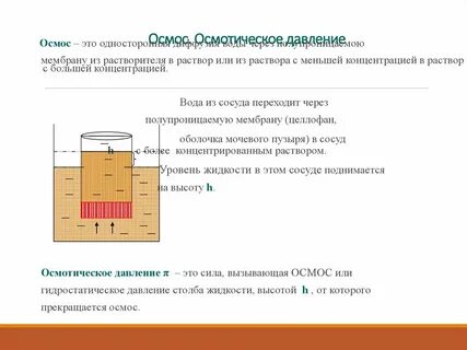 Сначала воск или осмос