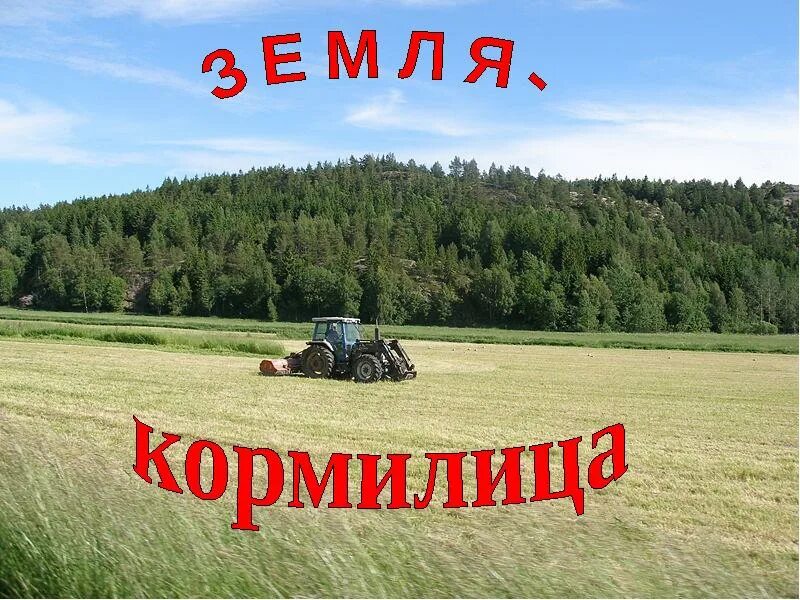 Земля кормилица рабочий лист. Земля кормилица. проект земля кормилица. почва, земля кормилица. земля наша кормилица.