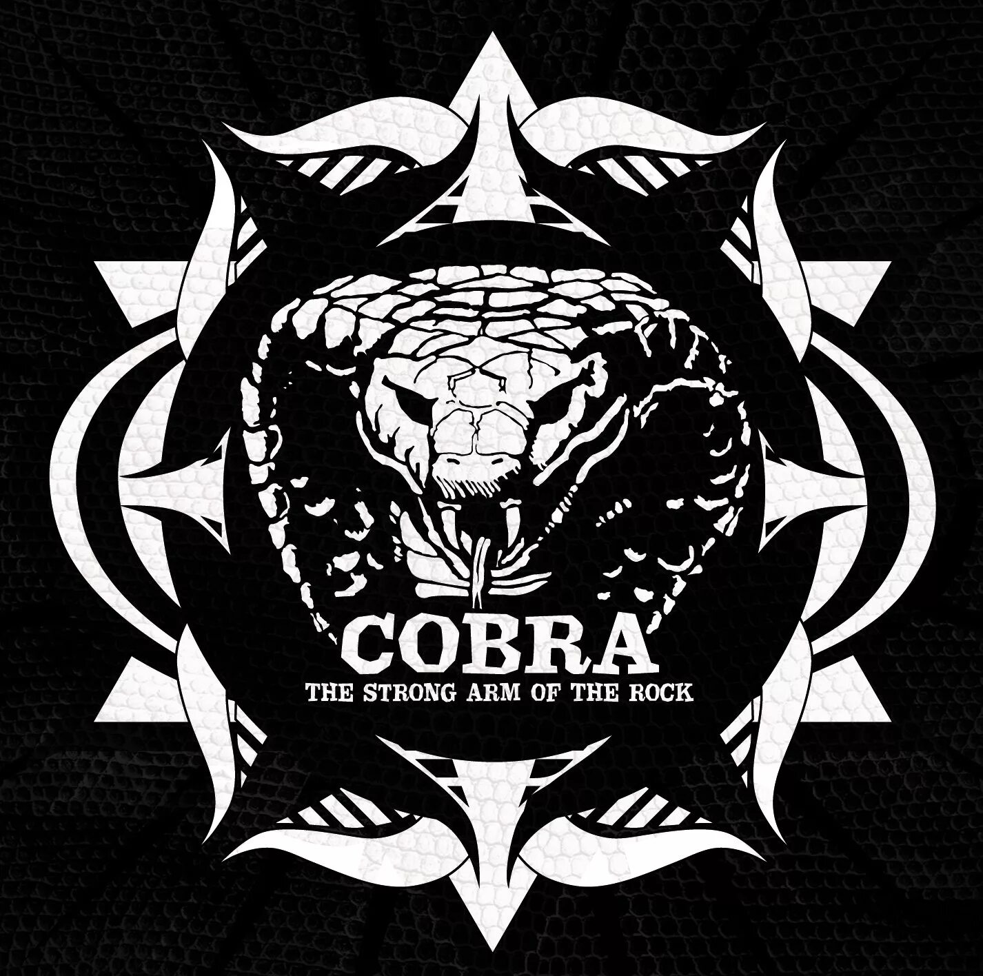 Песня cobra. Винчестер Кобра. Песня Кобра обложка. Генерал Кобра.