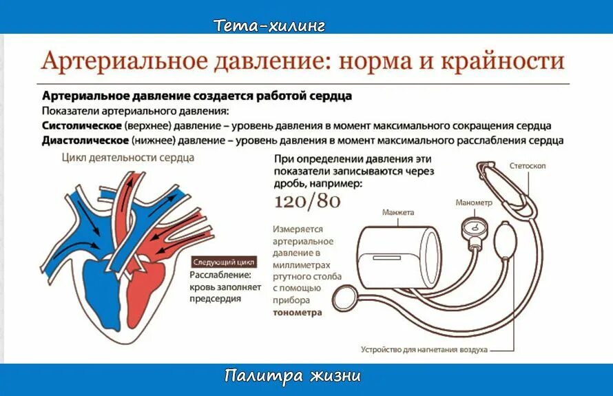 Понижение нижнего давления. Значения показателей артериального давления верхнее и нижнее. Аномалии кровяного давления схема. Расшифровка измерения артериального давления у человека. Артериальное давление норма верхнее и нижнее давление.