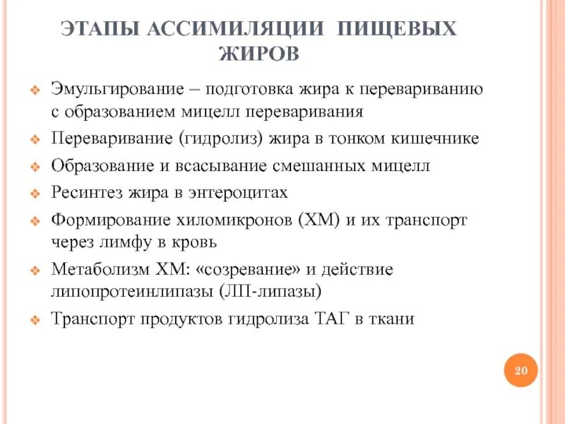 Ферменты эмульгирующий жиры. Схема ассимиляции пищевых жиров. Этапы ассимиляции жира. Этапы переваривания жиров. Этапы эмульгирования жиров.