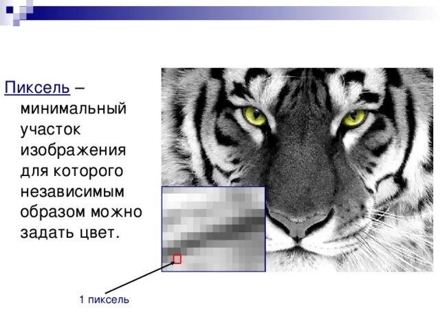 Минимальный участок изображения. Минимальный участок изображения