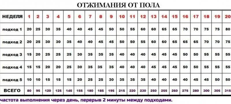 Сколько надо отжиманий. Схема прокачки бицепса гантелями. Схема накачки бицепса гантелями. Схема прокачки рук гантелями. Программа тренировок на бицепс с гантелей.