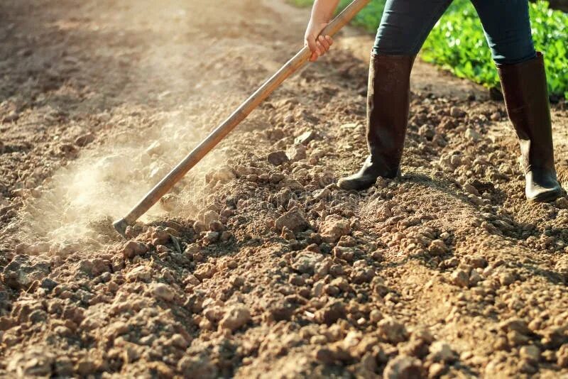 Digging на русском. Финляндия фермеры копают землю. Фермы и почвы стоковые фото. Farmer Soil. Dig Soil.