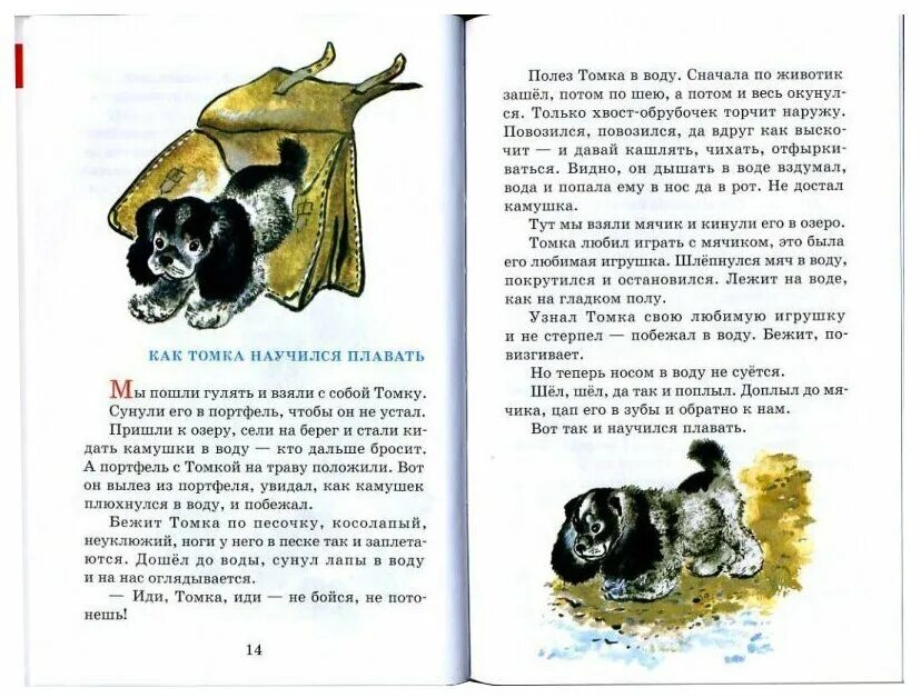 Е. Чарушин «рассказы и сказки о животных». Чарушин рассказы о животных 3 класс.