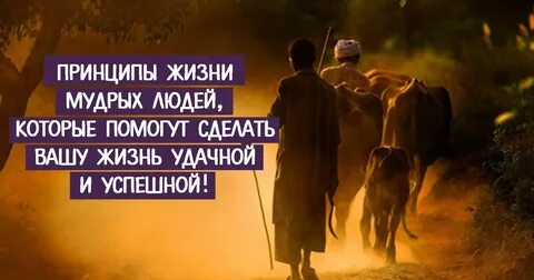 Мудрость жизни отношения