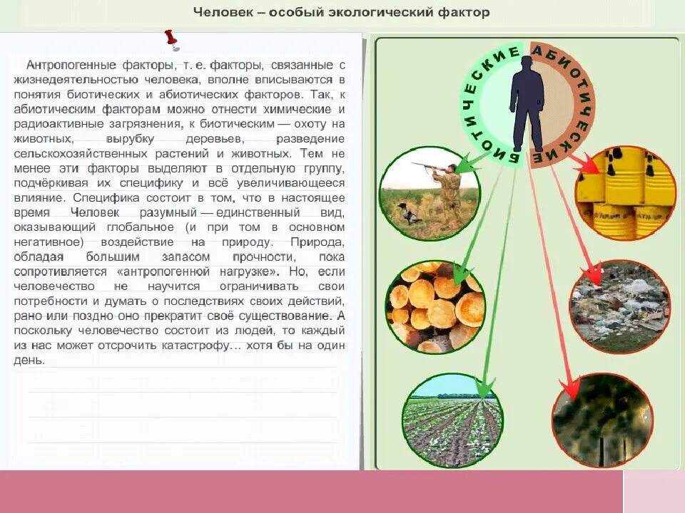 Влияние экологические факторы 9 класс биология. Влияние окружающей среды на живой организм. Влияние экологических факторов на организмы. Биология 5 кл экологические факторы. Влияние экологических факторов на развитие растений.