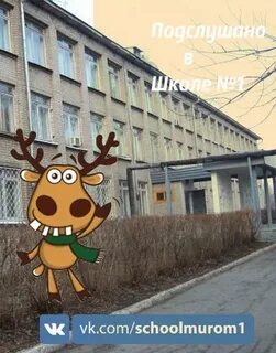 Подслушано мур