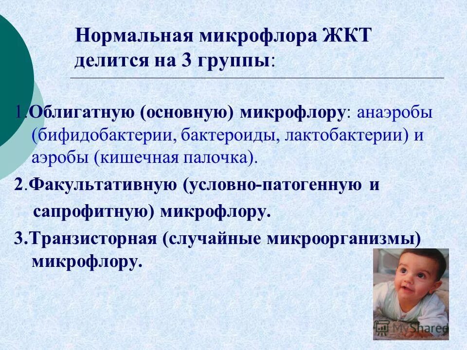 нормальная микрофлора желудка представлена. состав нормальной кишечной микрофлоры у детей. функции микрофлоры желудочно-кишечного тракта. жкт микрофлора биотипа. основные функции нормальной микрофлоры желудочно кишечного тракта.