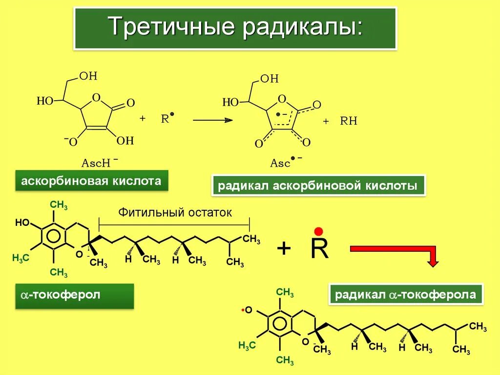 Третичные свободные радикалы. Токоферол радикал. Третичные углеводородные радикалы. Первичные вторичные и третичные радикалы.