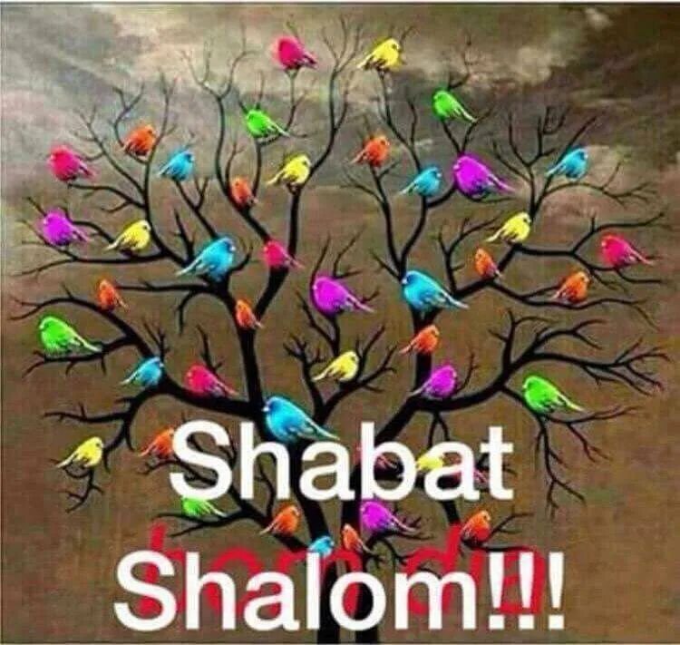 Шабат шалом. Открытки шаббат шалом на иврите. Шабат шалом открытки красивые. Шабат шалом открытки красивые. Шабат шалом шабат шалом.