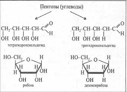 Опишите строение метильного радикала сн3