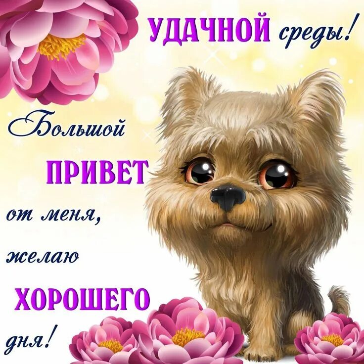 Статус отличного дня. Добрые пожелания. открытки со средой. приятные пожелания. открытки с пожеланиями хорошего дня.