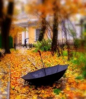 Осень запишу
