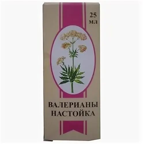 Пустырник бэгриф