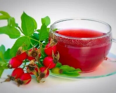 Шиповник натощак можно ли