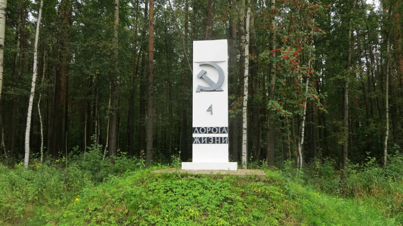 Рябовское шоссе, на дорогу жизни. Шоссе дорога жизни 7. Дорога жизни всеволожск. Билборды на новорижском шоссе. Шоссе дорога жизни 7 километр всеволожск.
