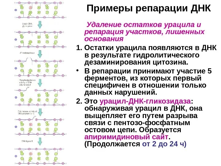 Пример репарации. Пример репарации