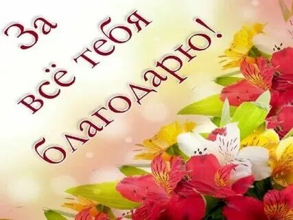 Спасибо миру что ты есть. Спасибо миру что ты есть
