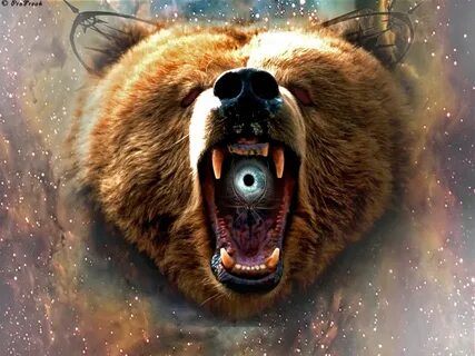Space bear