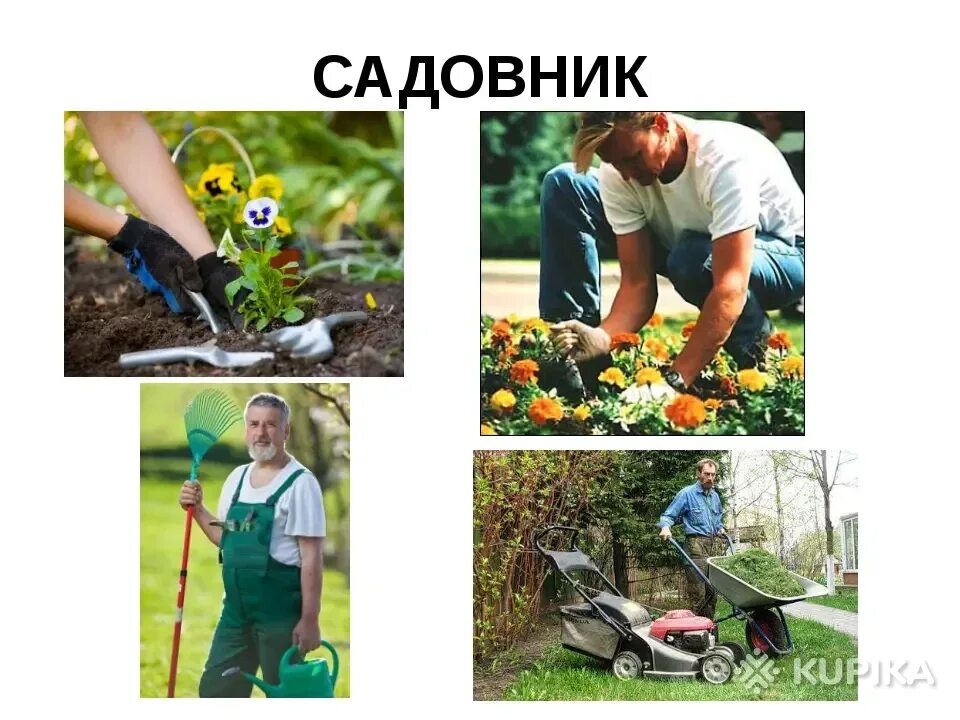 Какую работу выполняет садовник 4. Профессия садовник. профессия садовник для дошкольников. садовод профессия для детей. садовод профессия.