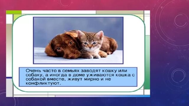 Про кошек и собак презентация окружающий. Почему мы любим кошек и собак 1 класс. Проект почему мы любим кошек и собак. Мы любим кошек и собак 1 класс. Проект почему мы любим кошек и собак 1 класс.