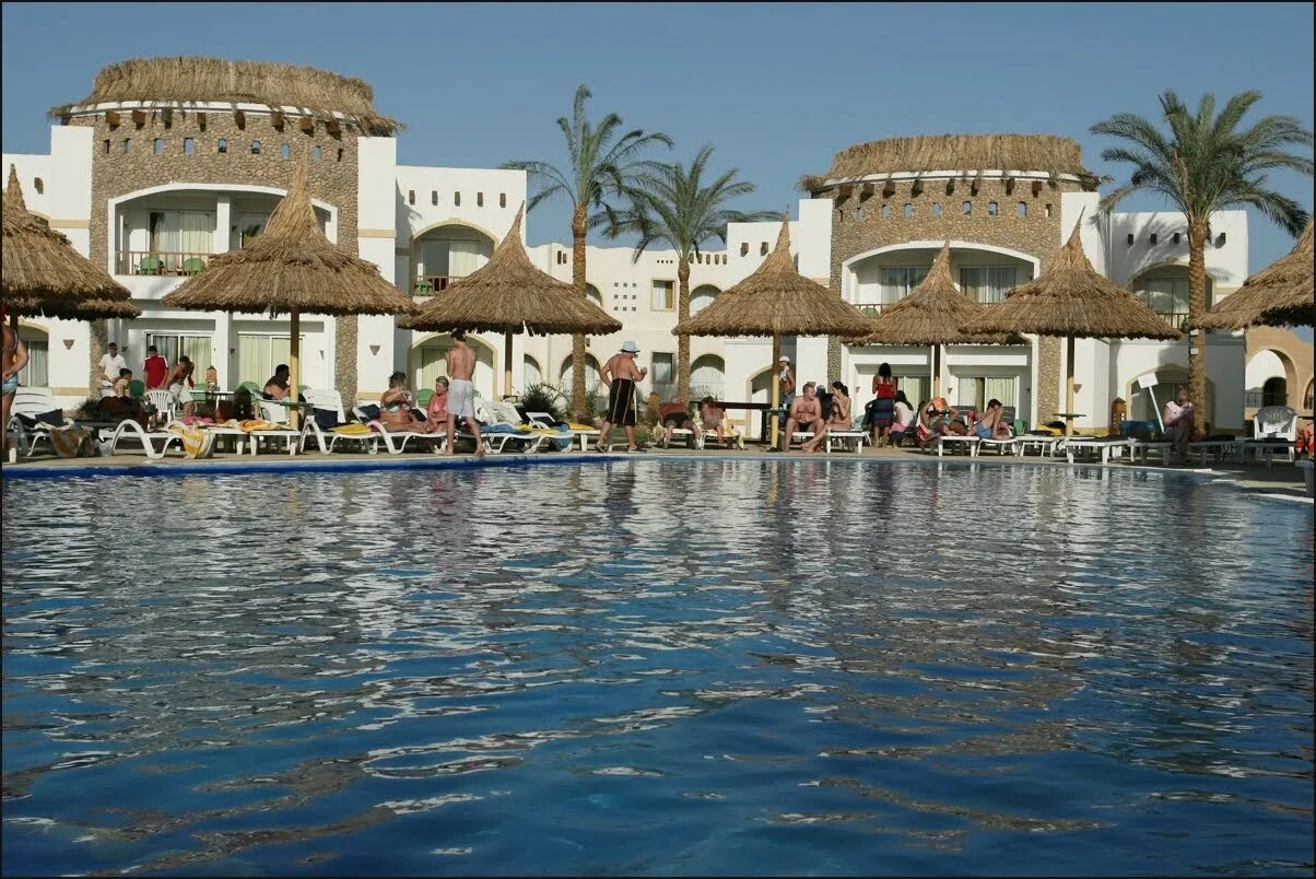 Море в египте в феврале. Семейная фотосессия в египте. Десерт роуз египет хургада. Петра египет. Египет в феврале куда лучше ехать.