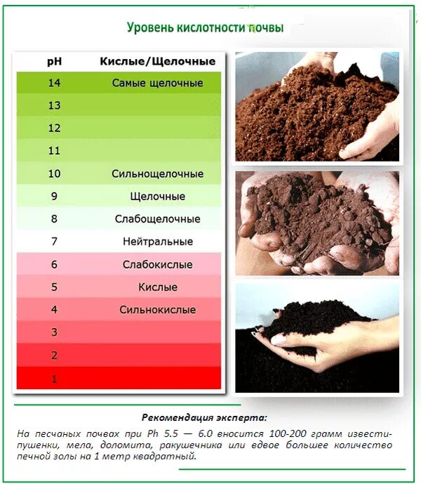 Какой грунт на урале. Растения индикаторы кислотности почвы щелочной. Кислотность почвы для почвы комнатных растений. Как измерить кислоту почвы. Кислотность 6 для почвы это какая почва.