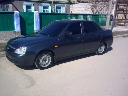 Цвет жимолость