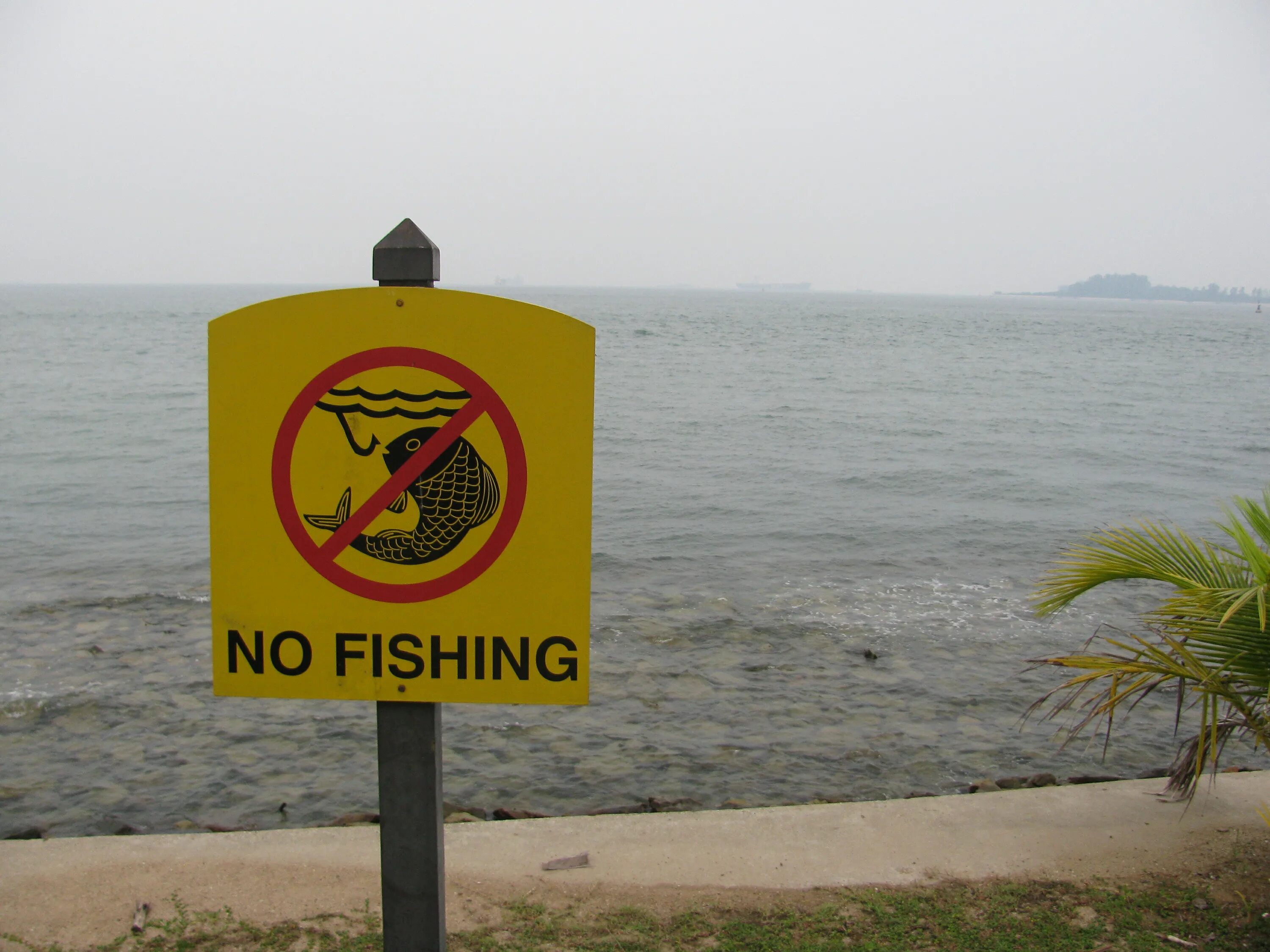 В каких областях запрещена рыбалка. Знак no Fishing. Рыбалка запрещена. Знак no Fishing here!. No Fishing sign.