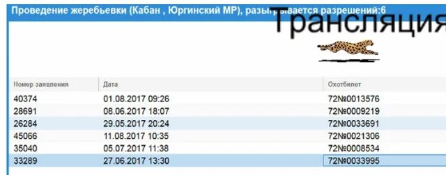 Результаты жеребьевки на кабана. Результаты жеребьевки на кабана в Тюменской области. Госохотуправление Тюменской области жеребьевка. Текущая деятельность жеребьевка.