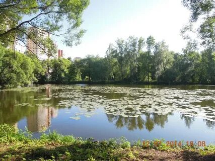 Река десна москва