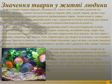 Яке значення