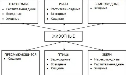 Заполните схему многообразие животных