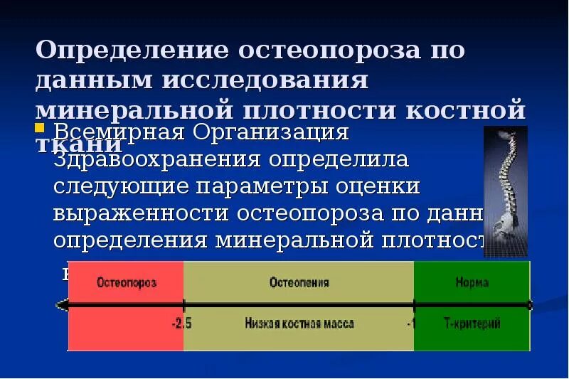 Минеральная плотность. Оценка минеральной плотности костной ткани. Определение минеральной плотности костей. Остеопороз определение. Определение плотности костной ткани.