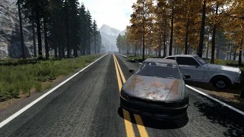 Survival wiki