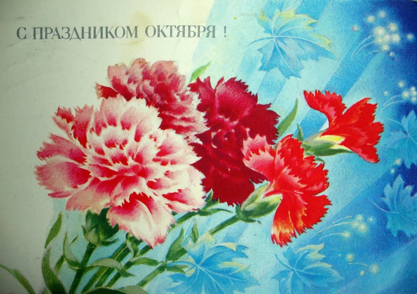 Картинки с праздником 7. Праздники в октябре. 7 Ноября день Октябрьской революции 1917. Гвоздики советские открытки. С праздником октября! Открытка.