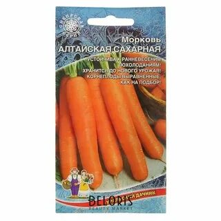 Морковь алтай