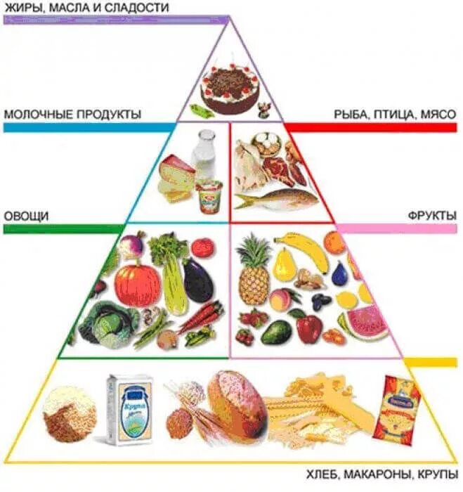 Какое питание должно быть при организованных. Правильное рациональное питание. Основы рационального питания. Пирамида правильного питания. Пиармиад питания.