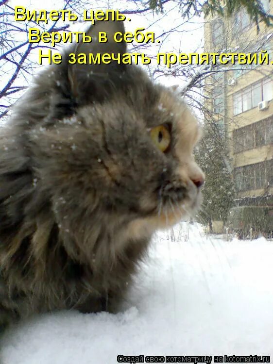 видеть цель верить в себя и не замечать препятствий. преодолеть препятствие. не вижу цели. D ct,z b yt pvtxf. не замечать препятствий.