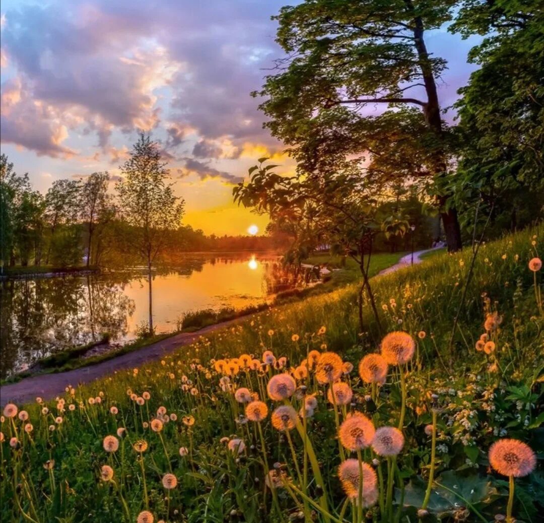 Прелести лета. Прелести лета. Прелести лета. Женщина в траве. Девушка на природе.