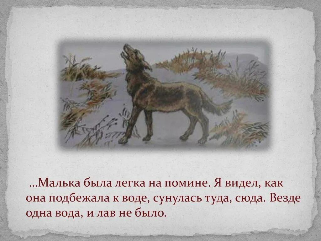 Малька провинилась. Стихотворение про мальку. Белов в. "про мальку".