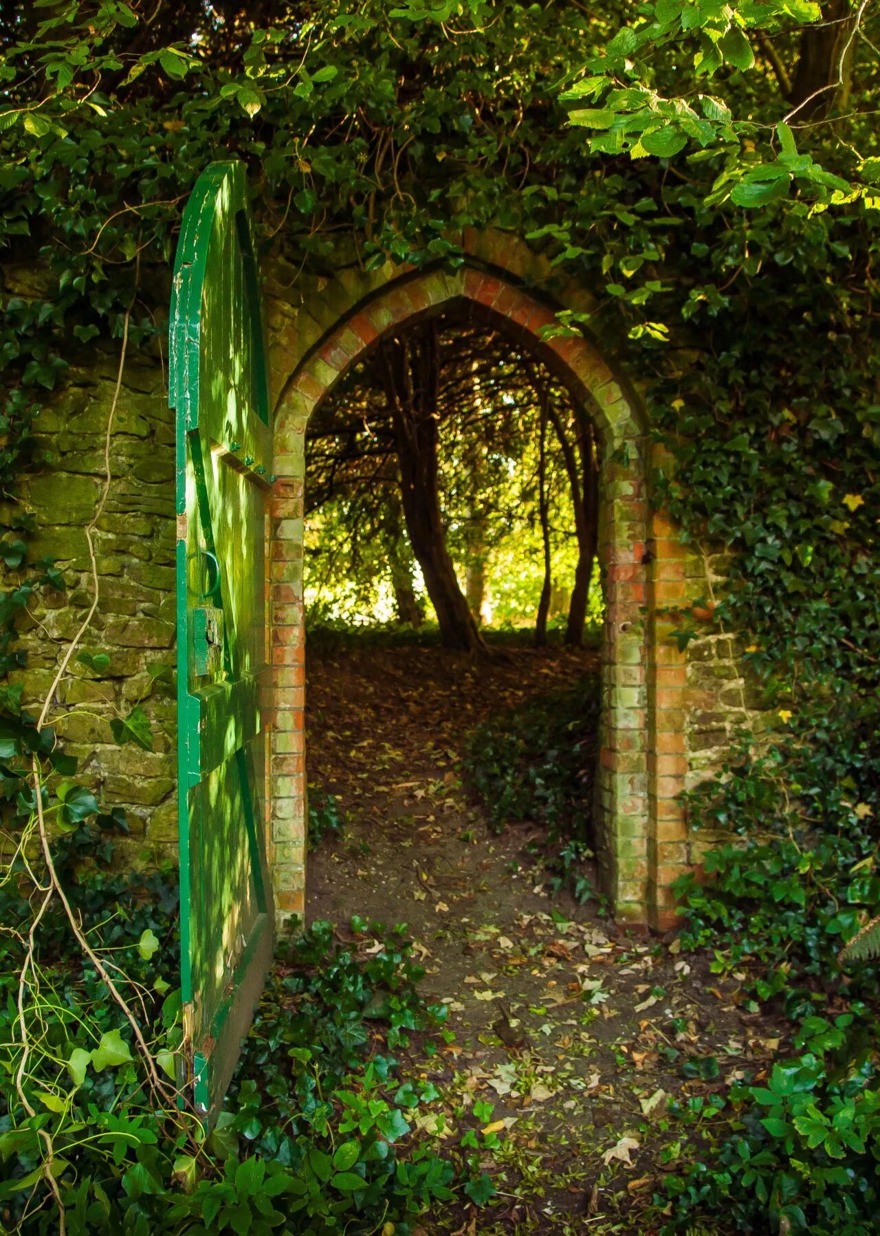 Узкая калитка. Плющ ворота поместье. Пергола берсо. Ворота деревянные распашные. Акведук дорога.