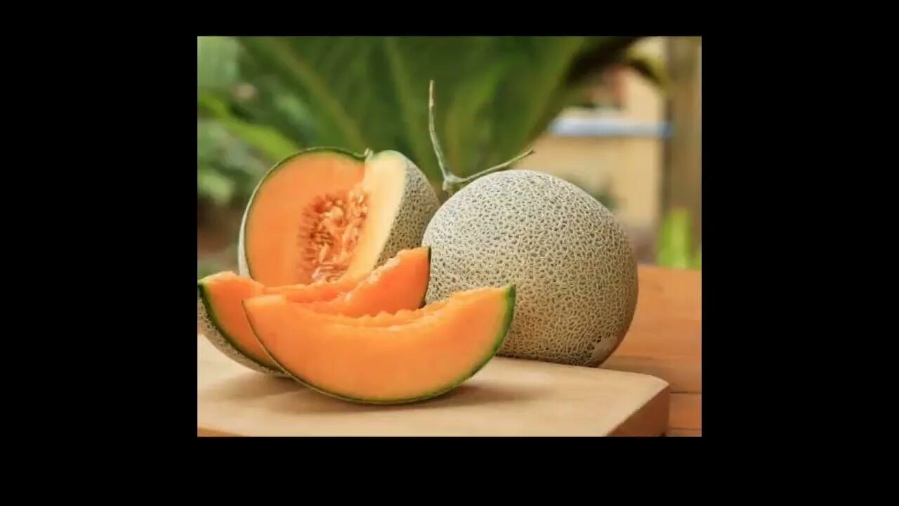 Melon vs melon. Melon vs melon
