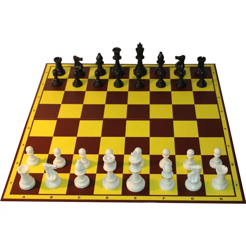 Название шахматных фигур. Шахматы доска с фигурами. Шахматы число. Легенда о происхождении шахмат. Название фигур в шахматах.