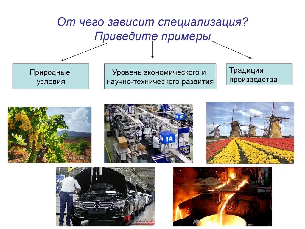 Специализация примеры. Специализация это в экономике. Специализация производства примеры. От чего зависит специализация.