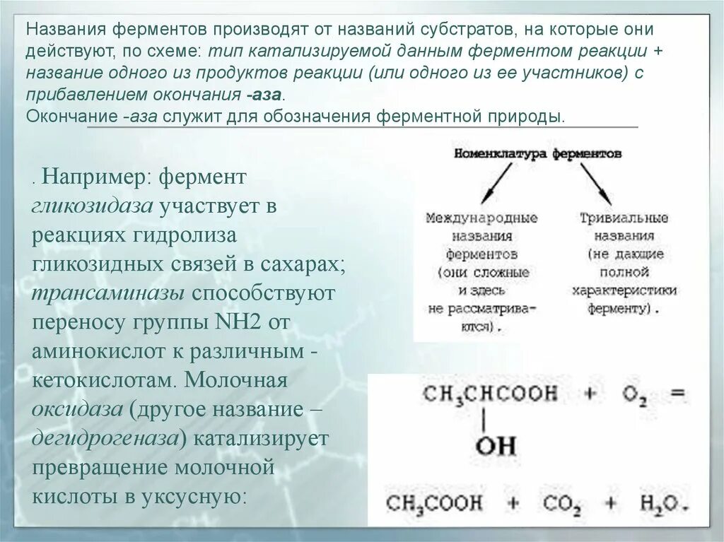 Типы реакций катализируемых ферментами. Реакции ферментов. Химические реакции ферментов. Субстрат и название ферментов. Наименования ферментов.