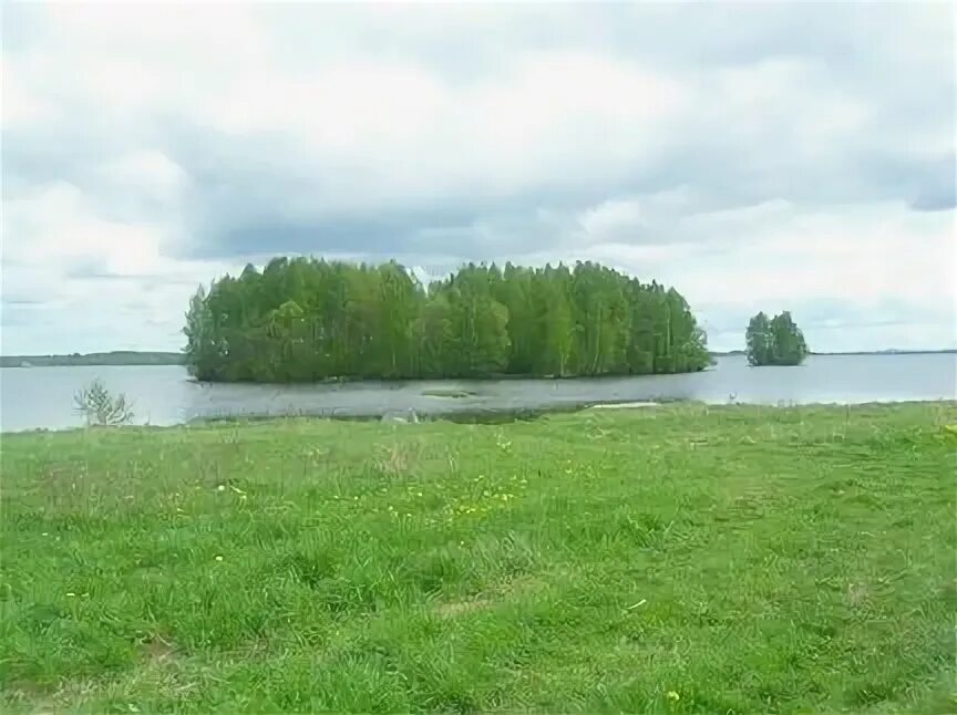 40 участок шексна. 40 участок шексна. 40 участок шексна. 40 участок шексна. 40 участок шексна.